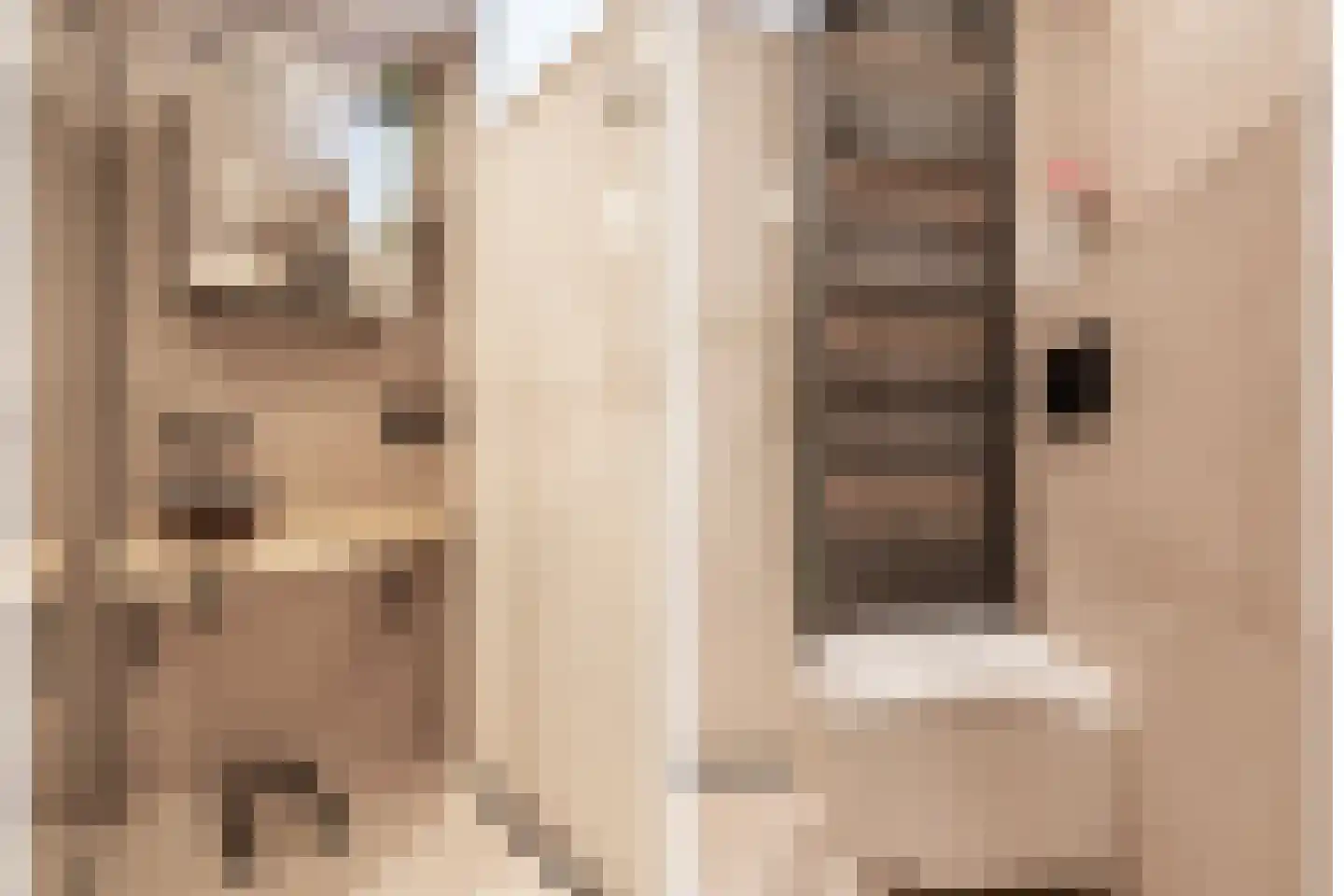 Nieuwe Doelenstraat 43 Hilversum thumbnail 29