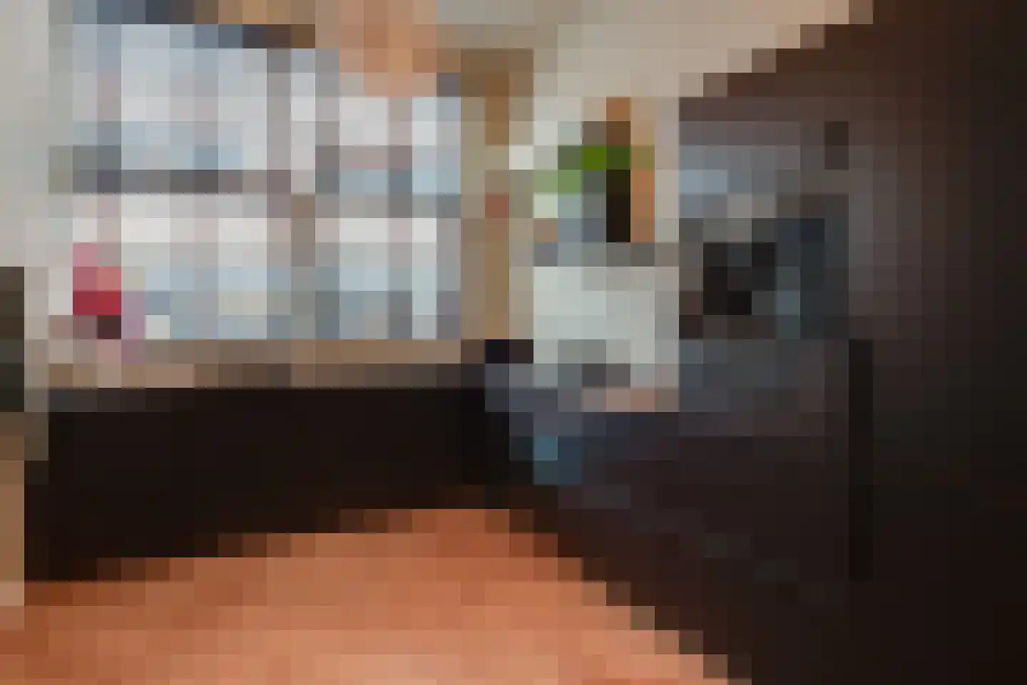 Nieuwe Doelenstraat 43 Hilversum thumbnail 4