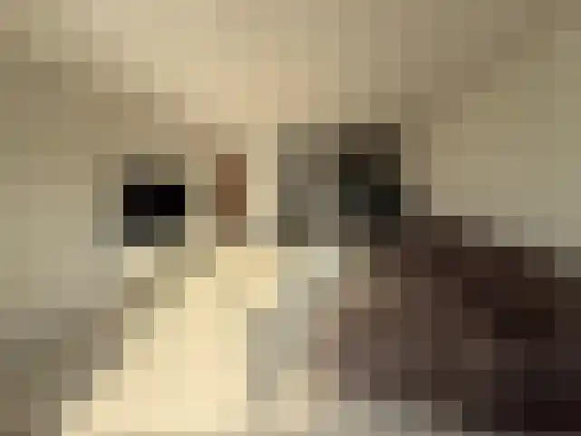 Nieuwe Doelenstraat 43 Hilversum thumbnail 7