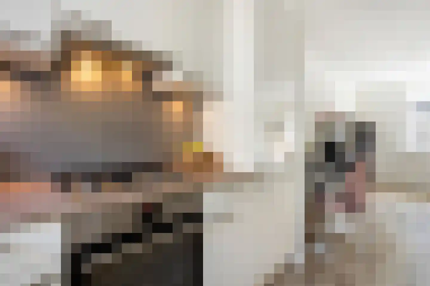 Nieuwe Doelenstraat 5 9 Hilversum thumbnail 17