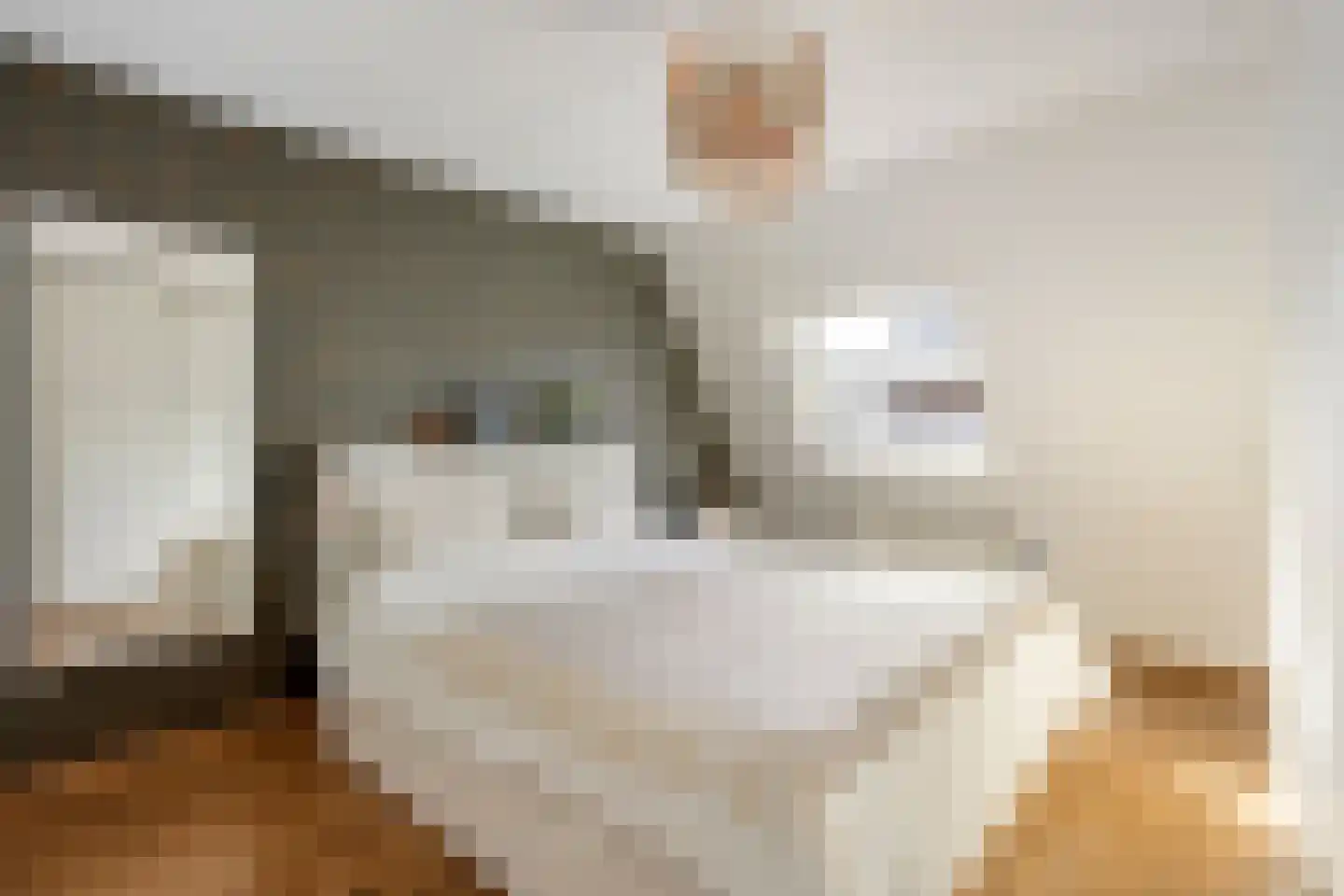 Nieuwe Doelenstraat 5 9 Hilversum thumbnail 19