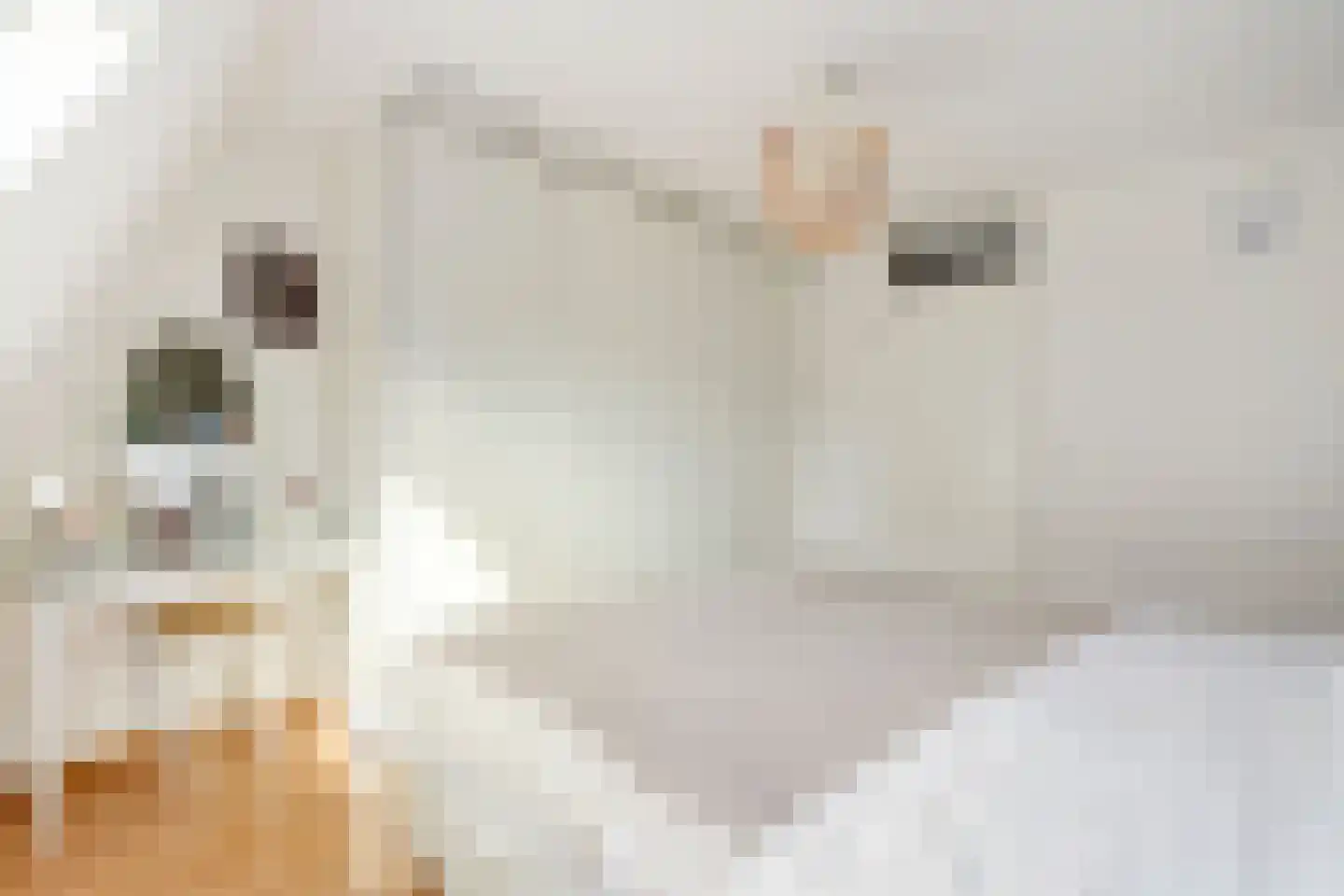 Nieuwe Doelenstraat 5 9 Hilversum thumbnail 22