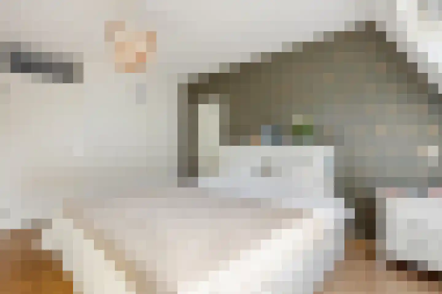 Nieuwe Doelenstraat 5 9 Hilversum thumbnail 23