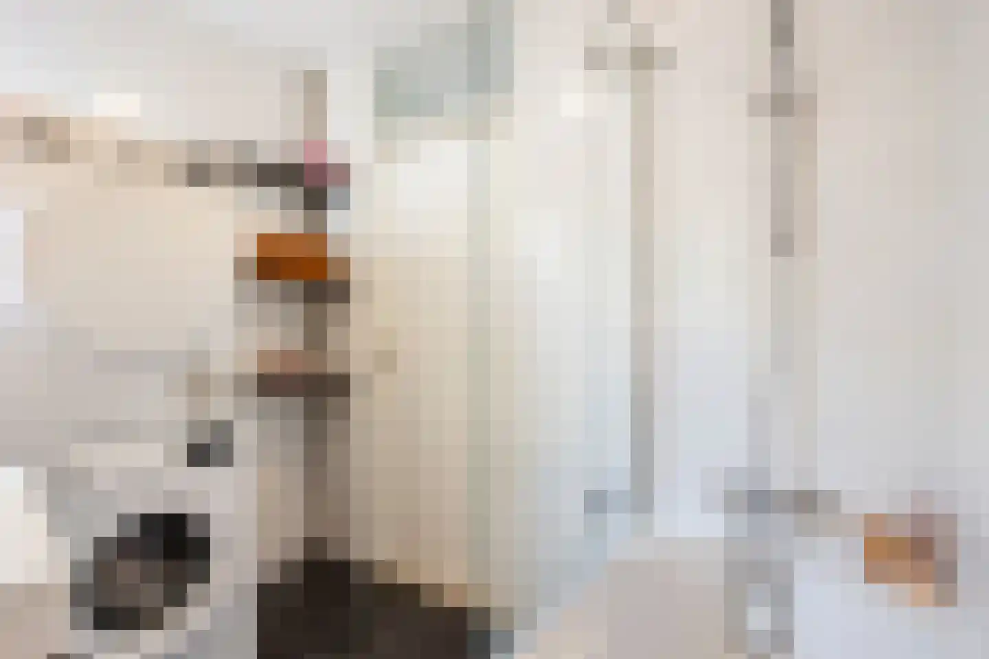 Nieuwe Doelenstraat 5 9 Hilversum thumbnail 26