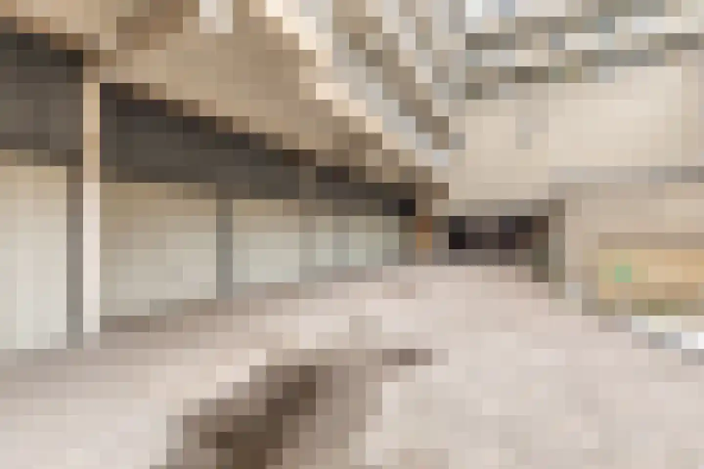 Nieuwe Doelenstraat 7 2 Hilversum thumbnail 34