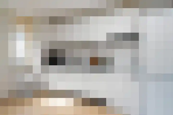 Nieuwe Doelenstraat 9 3 Hilversum thumbnail 6