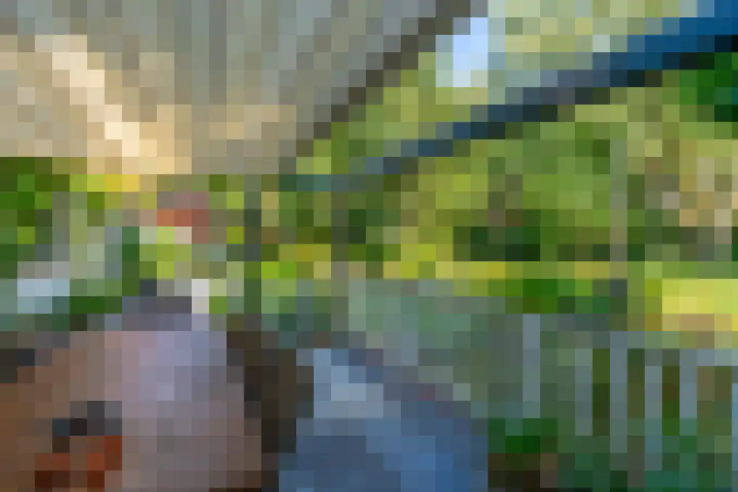 Nieuwe Dolderseweg 70 Den Dolder thumbnail 19