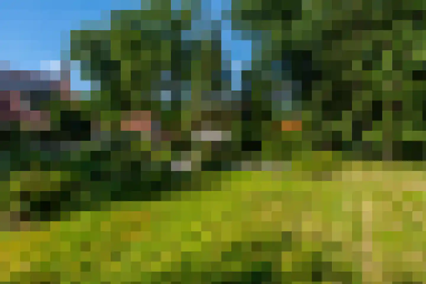Nieuwe Dolderseweg 70 Den Dolder thumbnail 21