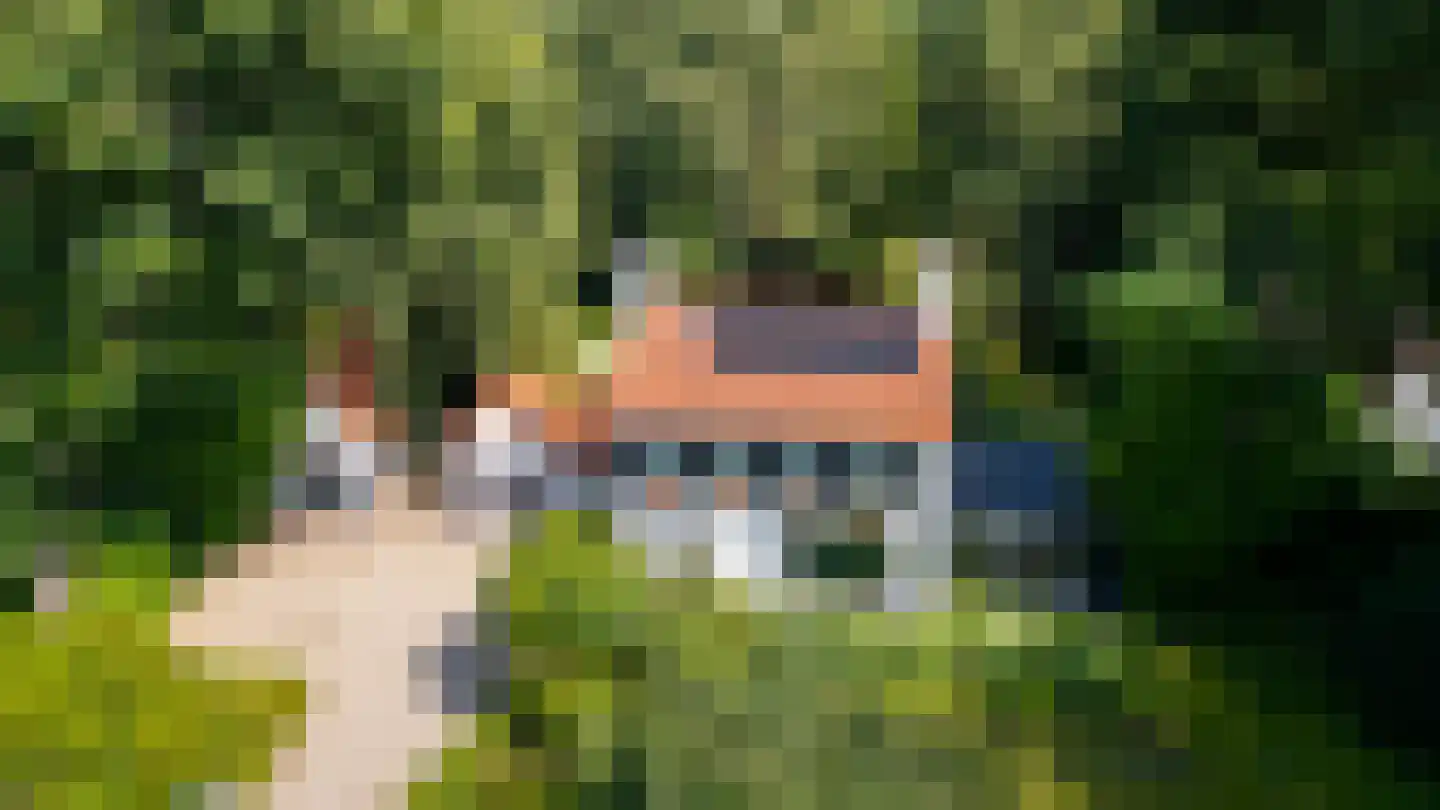 Nieuwe Dolderseweg 70 Den Dolder thumbnail 4