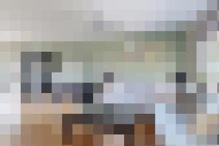 Nieuwe Dorpsweg 11 Fijnaart thumbnail 10