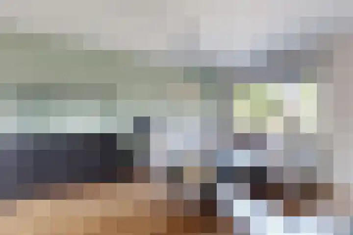 Nieuwe Dorpsweg 11 Fijnaart thumbnail 11