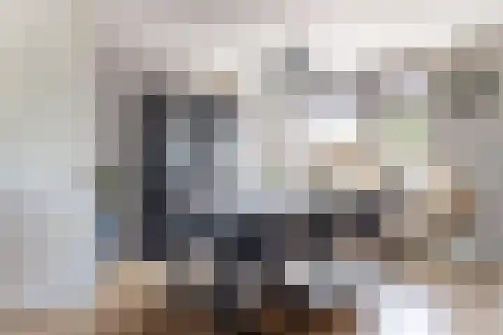 Nieuwe Dorpsweg 11 Fijnaart thumbnail 14
