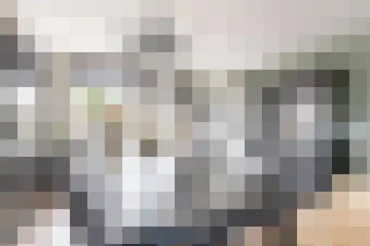 Nieuwe Dorpsweg 11 Fijnaart thumbnail 15