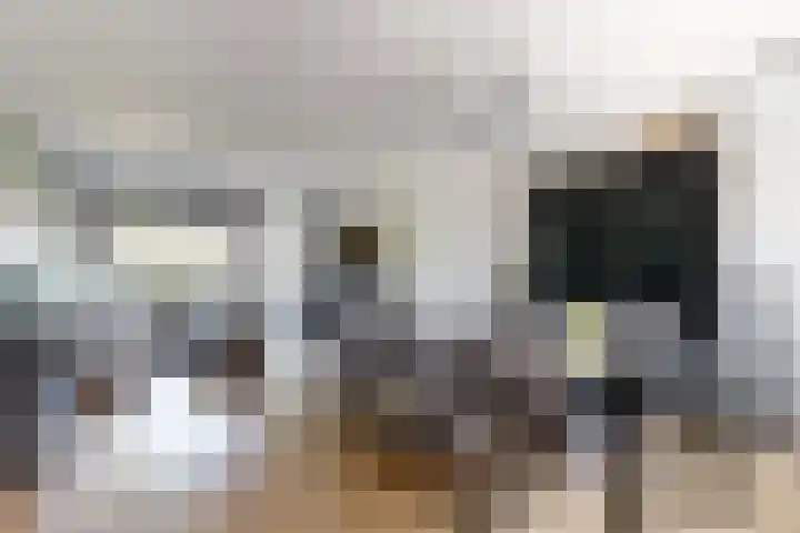 Nieuwe Dorpsweg 11 Fijnaart thumbnail 16