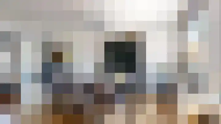 Nieuwe Dorpsweg 11 Fijnaart thumbnail 17