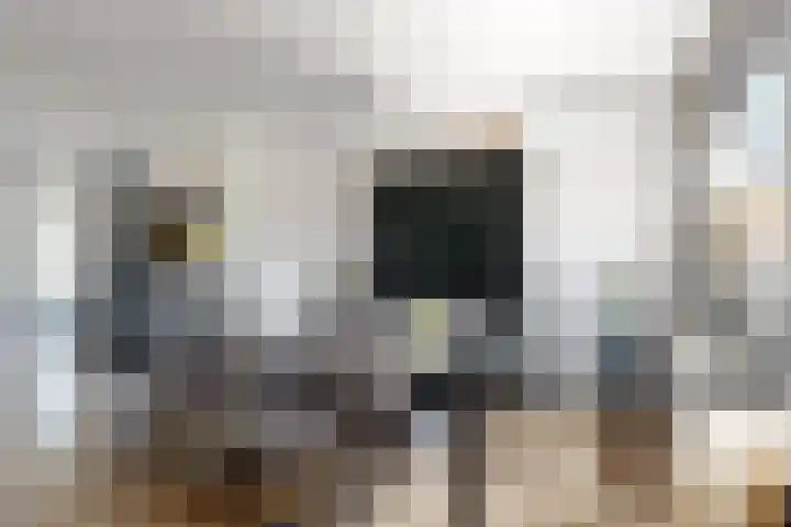 Nieuwe Dorpsweg 11 Fijnaart thumbnail 18