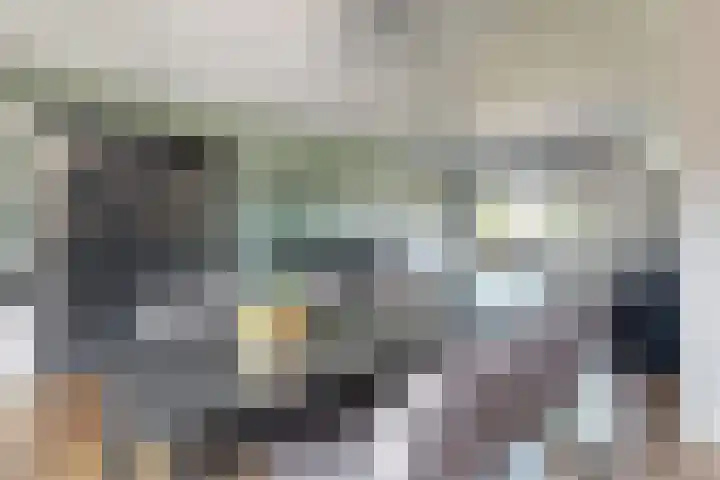 Nieuwe Dorpsweg 11 Fijnaart thumbnail 19