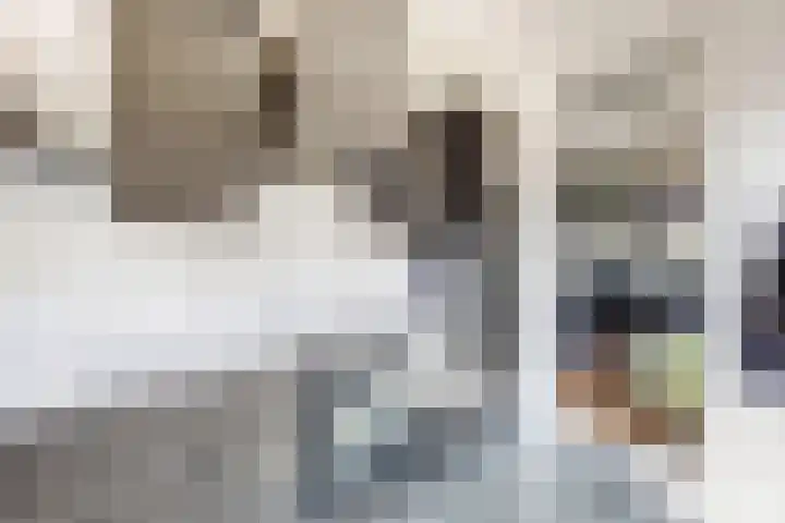 Nieuwe Dorpsweg 11 Fijnaart thumbnail 20
