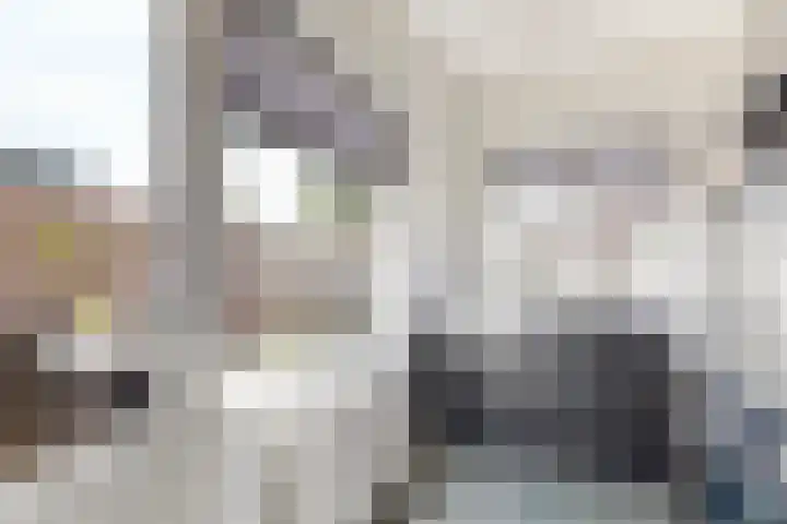 Nieuwe Dorpsweg 11 Fijnaart thumbnail 23