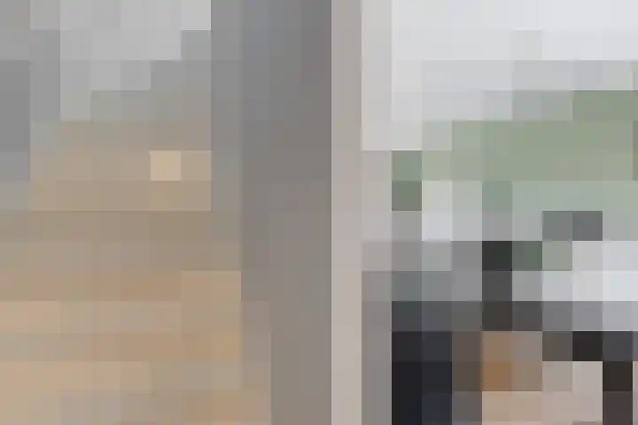 Nieuwe Dorpsweg 11 Fijnaart thumbnail 26
