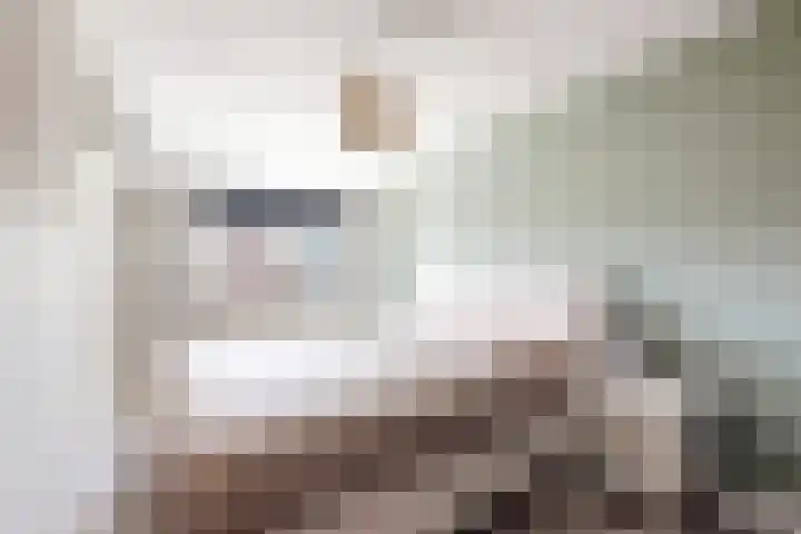 Nieuwe Dorpsweg 11 Fijnaart thumbnail 31