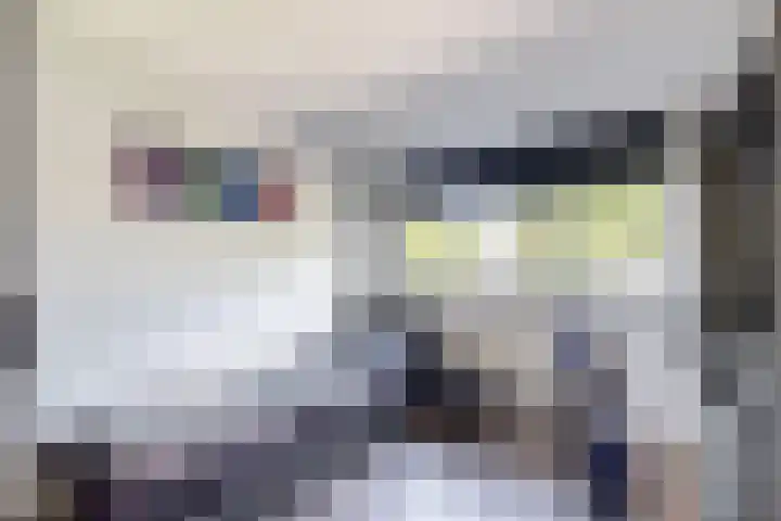 Nieuwe Dorpsweg 11 Fijnaart thumbnail 35