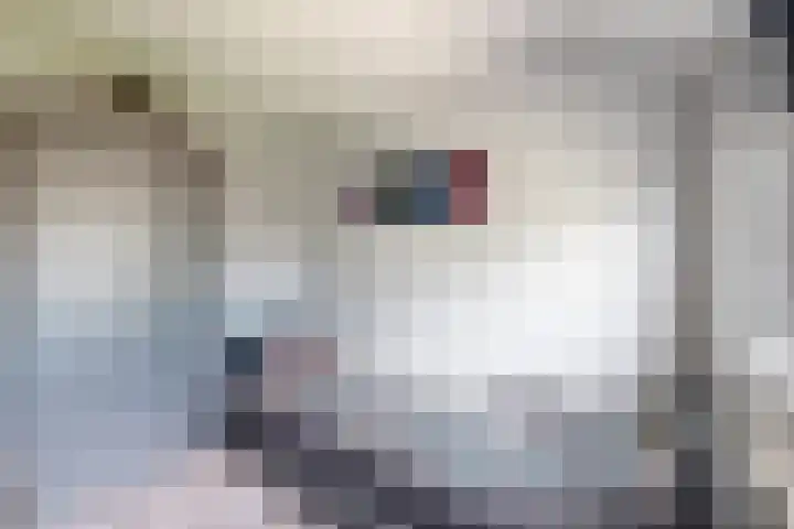Nieuwe Dorpsweg 11 Fijnaart thumbnail 36