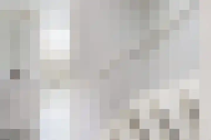 Nieuwe Dorpsweg 11 Fijnaart thumbnail 37