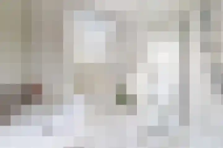 Nieuwe Dorpsweg 11 Fijnaart thumbnail 38