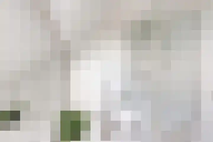 Nieuwe Dorpsweg 11 Fijnaart thumbnail 39
