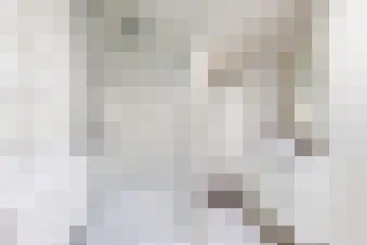 Nieuwe Dorpsweg 11 Fijnaart thumbnail 40