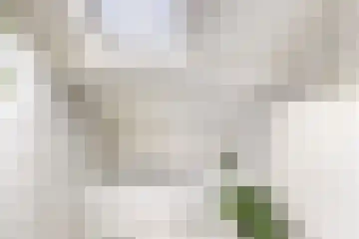 Nieuwe Dorpsweg 11 Fijnaart thumbnail 41