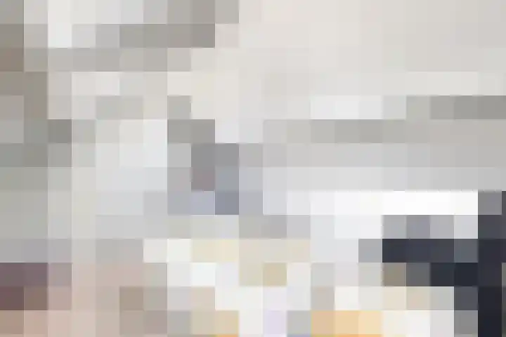 Nieuwe Dorpsweg 11 Fijnaart thumbnail 42