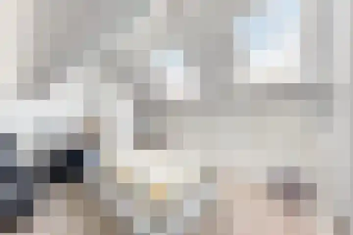 Nieuwe Dorpsweg 11 Fijnaart thumbnail 43