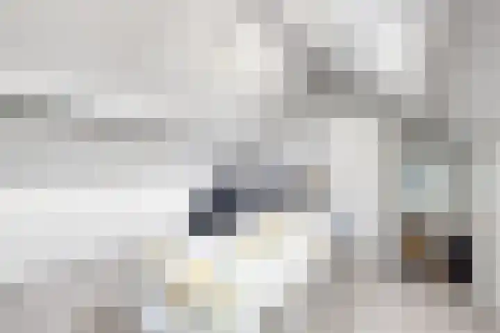 Nieuwe Dorpsweg 11 Fijnaart thumbnail 44