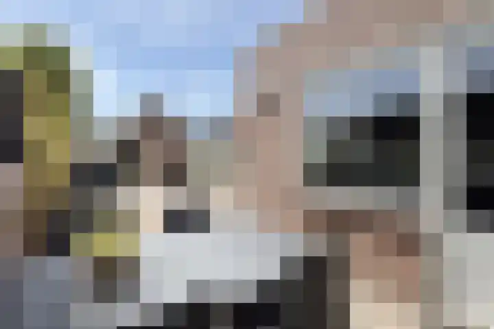 Nieuwe Dorpsweg 11 Fijnaart thumbnail 45
