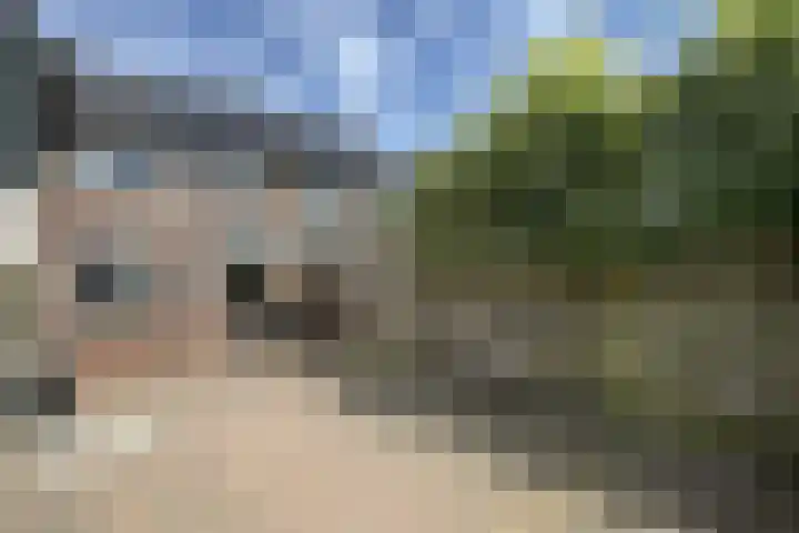 Nieuwe Dorpsweg 11 Fijnaart thumbnail 48