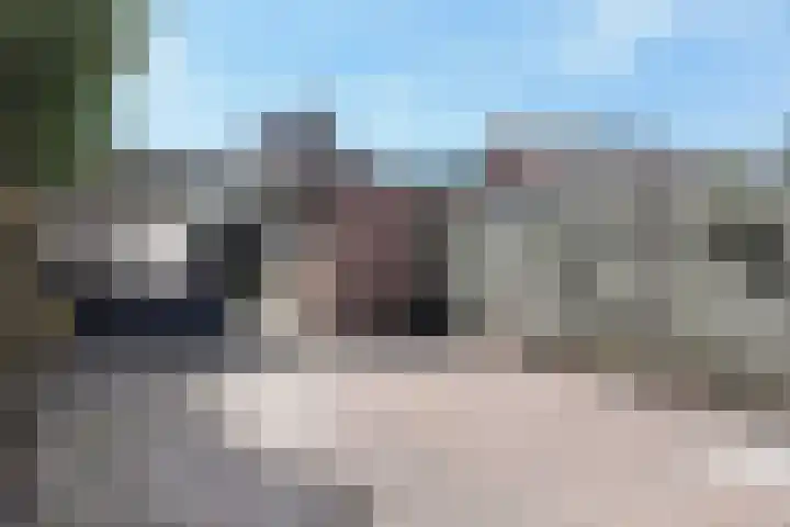 Nieuwe Dorpsweg 11 Fijnaart thumbnail 49