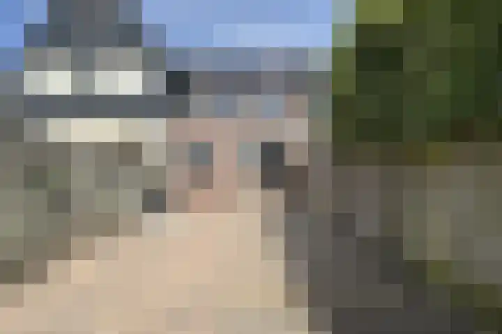Nieuwe Dorpsweg 11 Fijnaart thumbnail 5