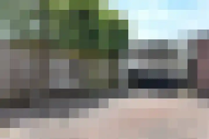 Nieuwe Dorpsweg 11 Fijnaart thumbnail 50
