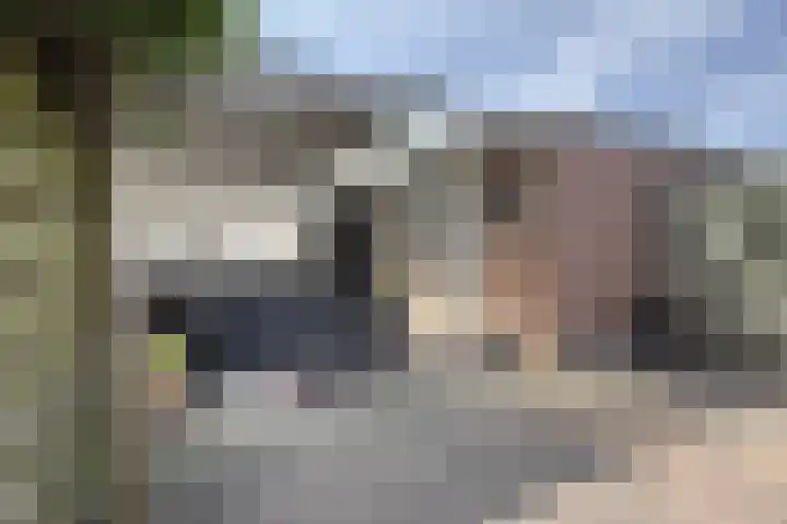 Nieuwe Dorpsweg 11 Fijnaart thumbnail 53
