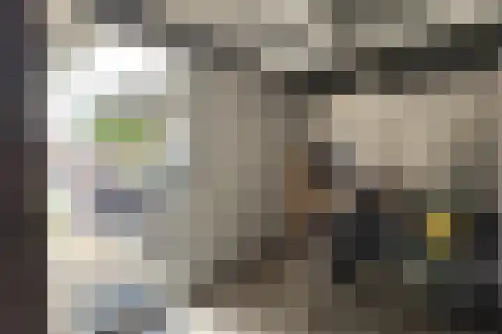 Nieuwe Dorpsweg 11 Fijnaart thumbnail 56