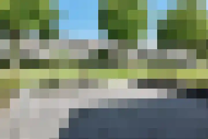 Nieuwe Dorpsweg 11 Fijnaart thumbnail 58