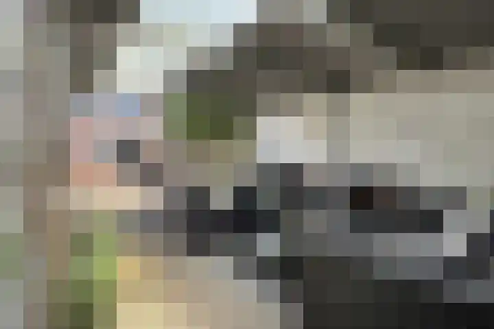 Nieuwe Dorpsweg 11 Fijnaart thumbnail 6