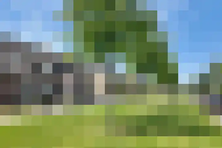 Nieuwe Dorpsweg 11 Fijnaart thumbnail 62