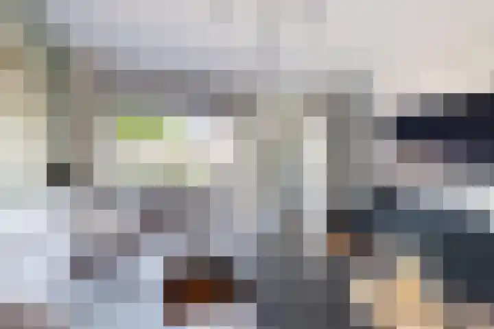 Nieuwe Dorpsweg 11 Fijnaart thumbnail 8