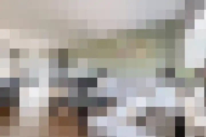 Nieuwe Dorpsweg 11 Fijnaart thumbnail 9