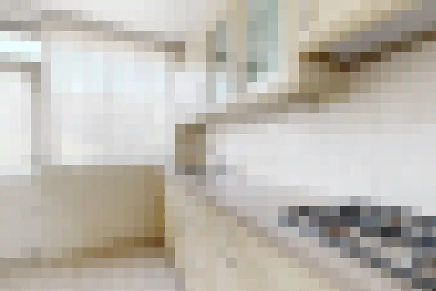 Nieuwe Dorpsweg 19 Fijnaart thumbnail 25