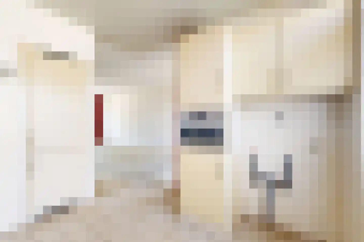 Nieuwe Dorpsweg 19 Fijnaart thumbnail 26
