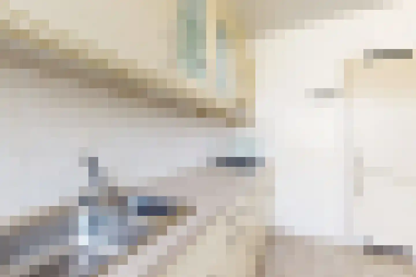 Nieuwe Dorpsweg 19 Fijnaart thumbnail 27